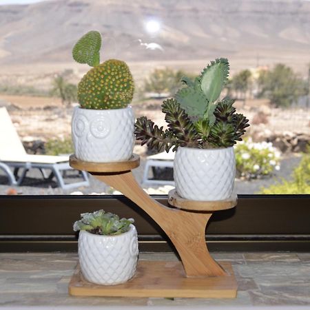 Casa Vista Oasis En Fuerteventura Villa La Guirra Kültér fotó