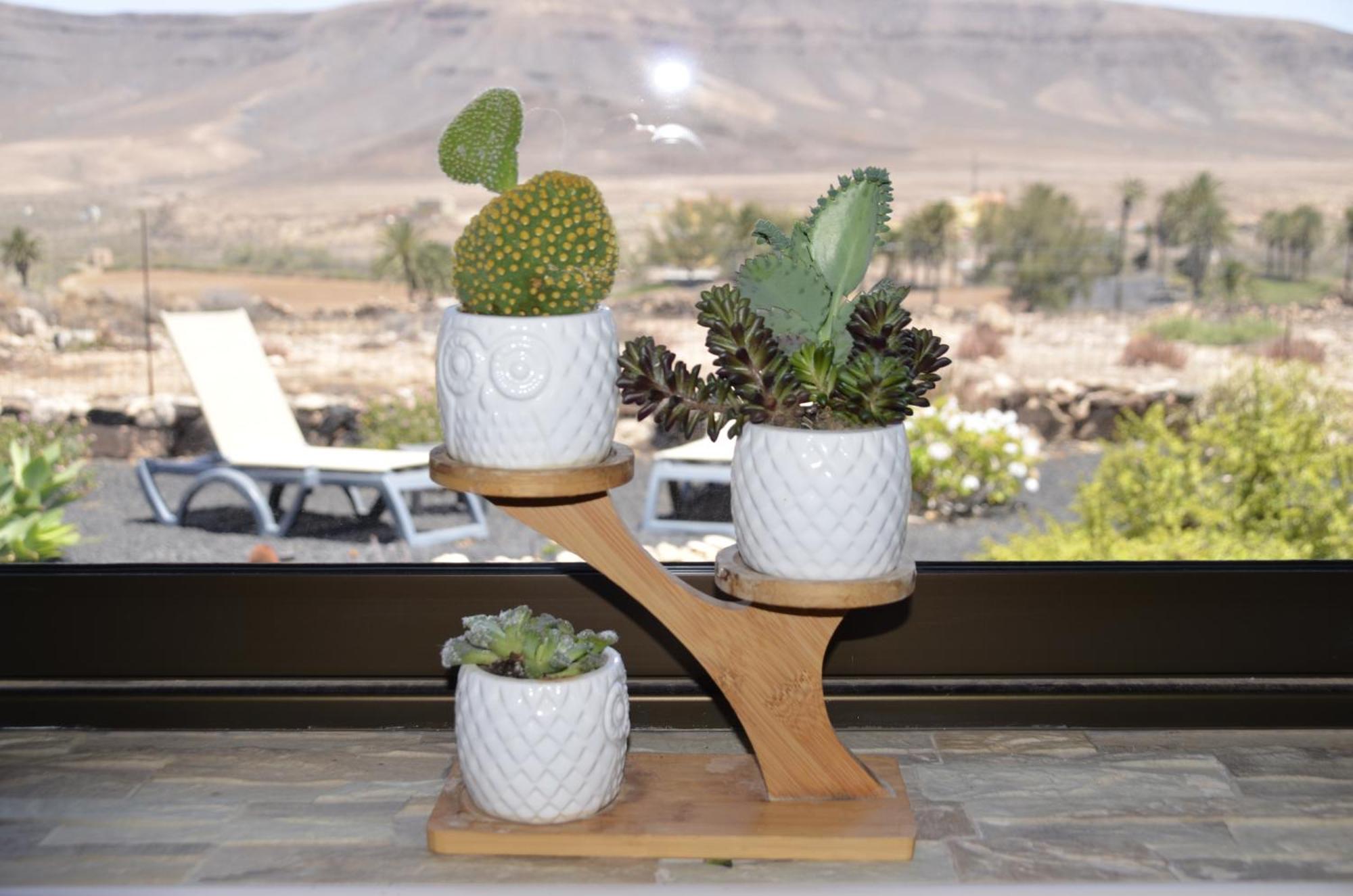 Casa Vista Oasis En Fuerteventura Villa La Guirra Kültér fotó